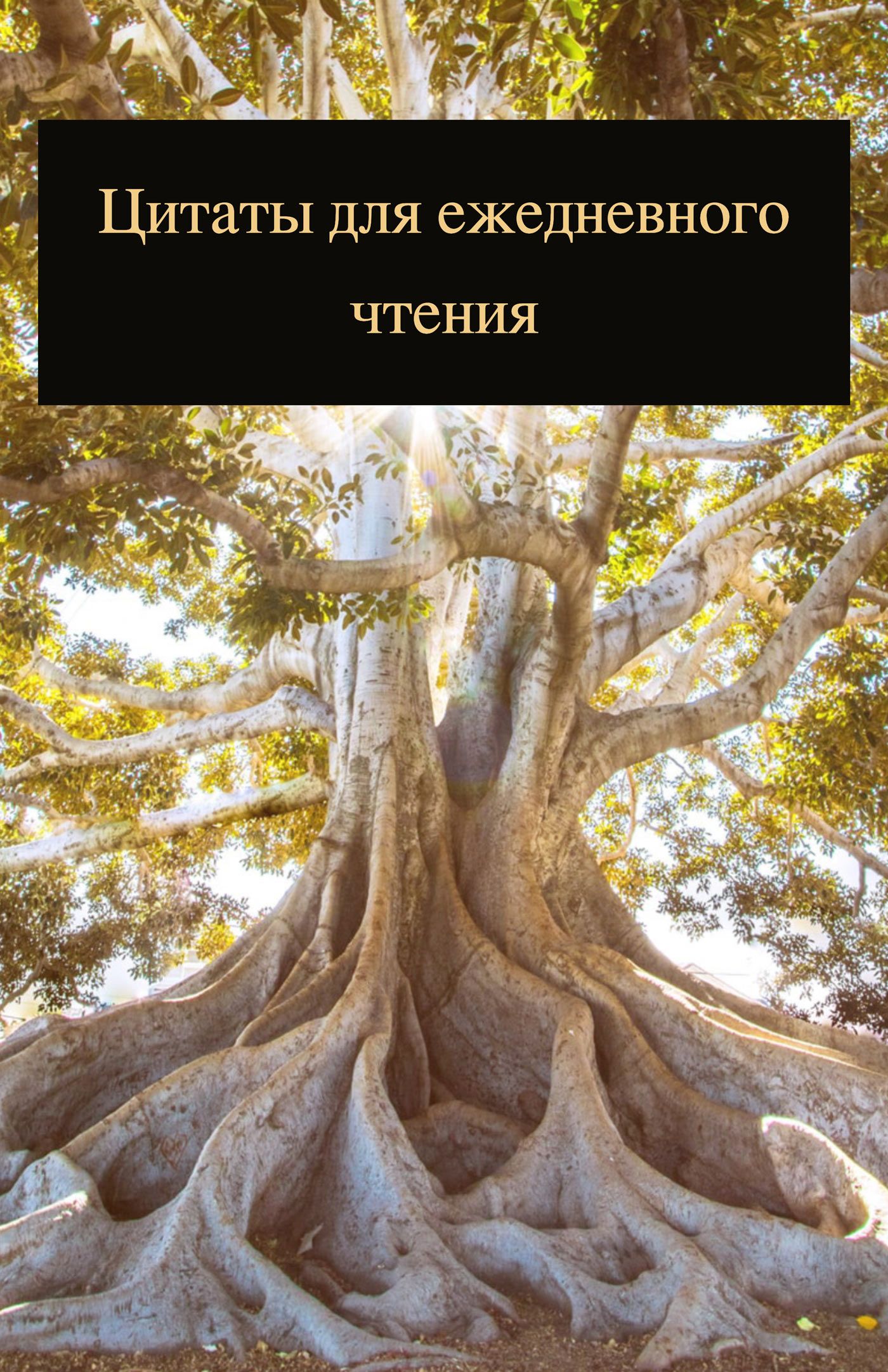 Цитаты для ежедневного чтения