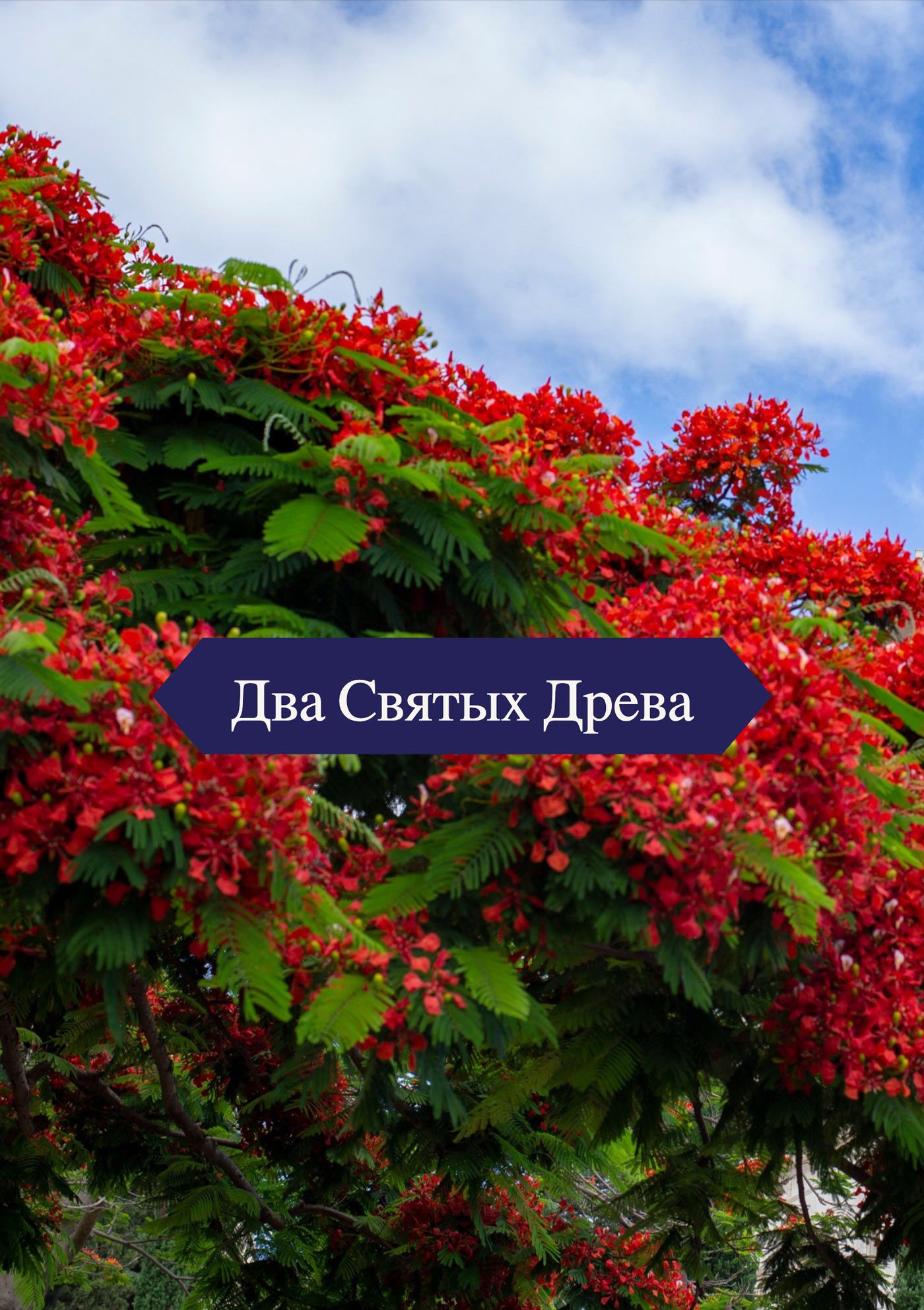 Два Святых Древа