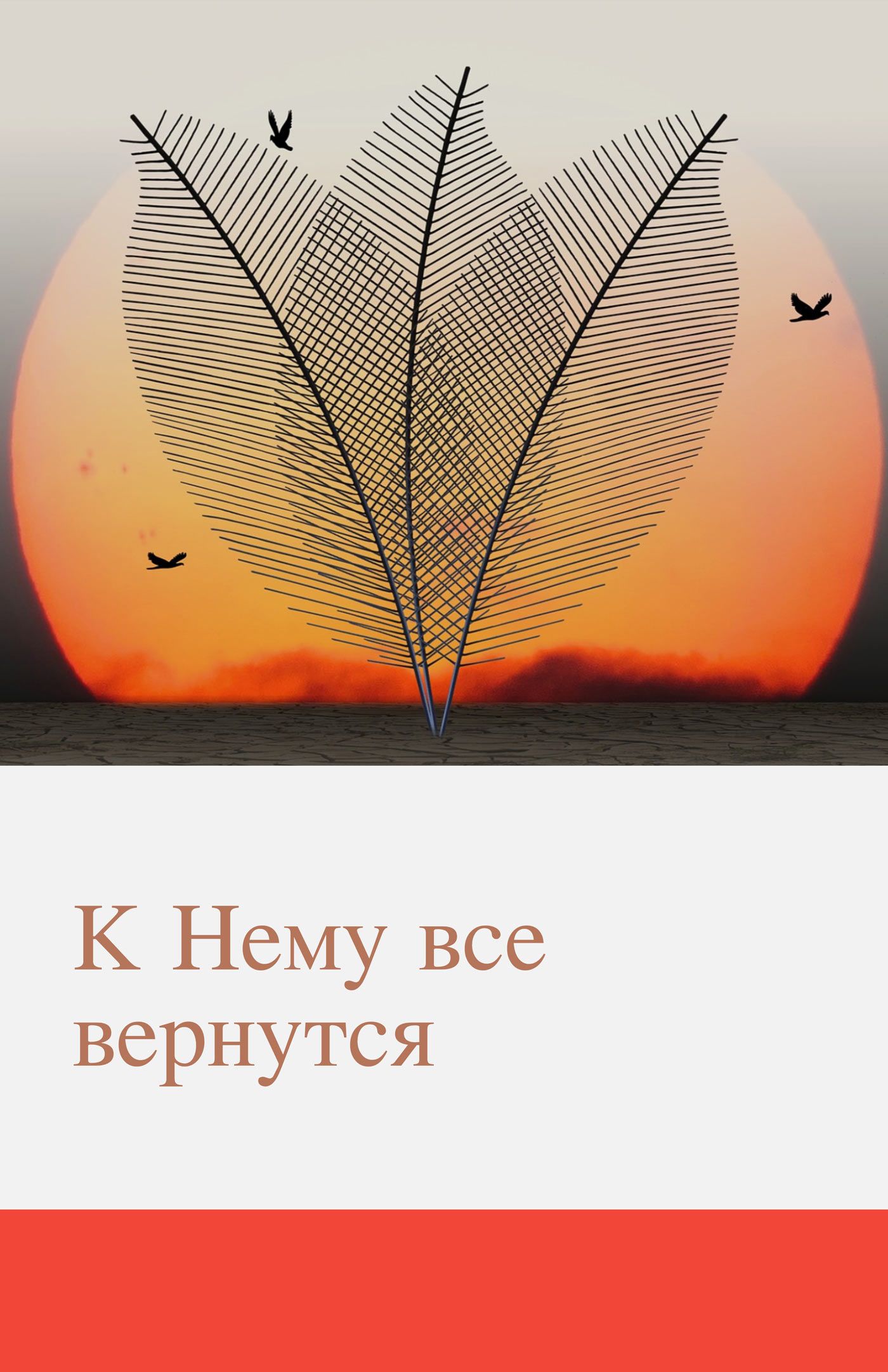 Содействие широкому притоку в Веру